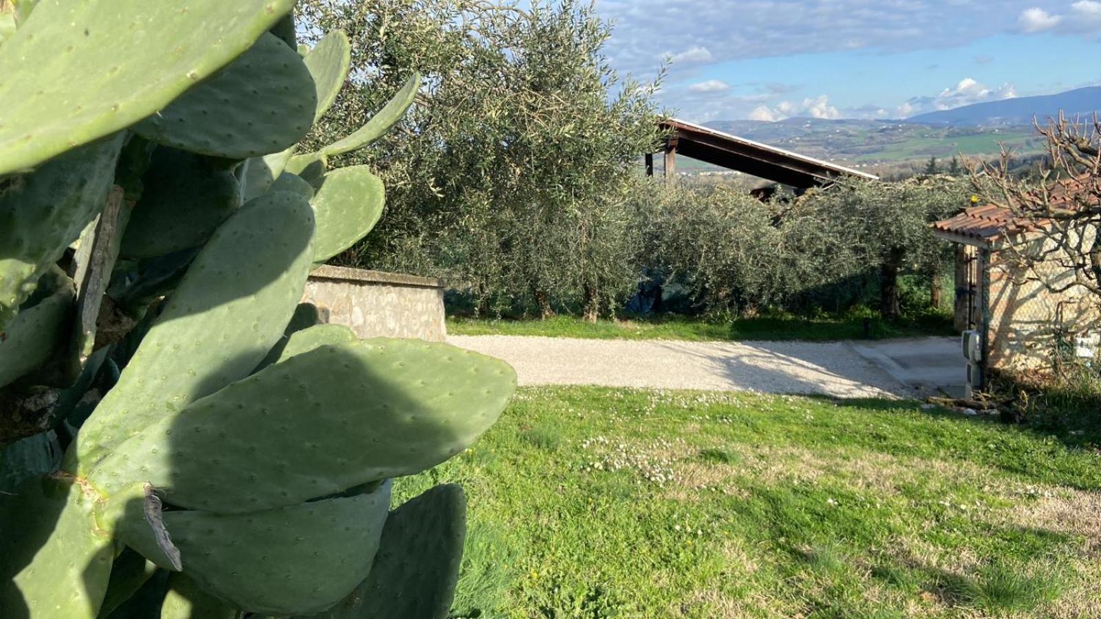 Casa Civico22 Villa Fratta Todina Luaran gambar